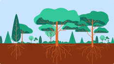 Inclusive Narratives